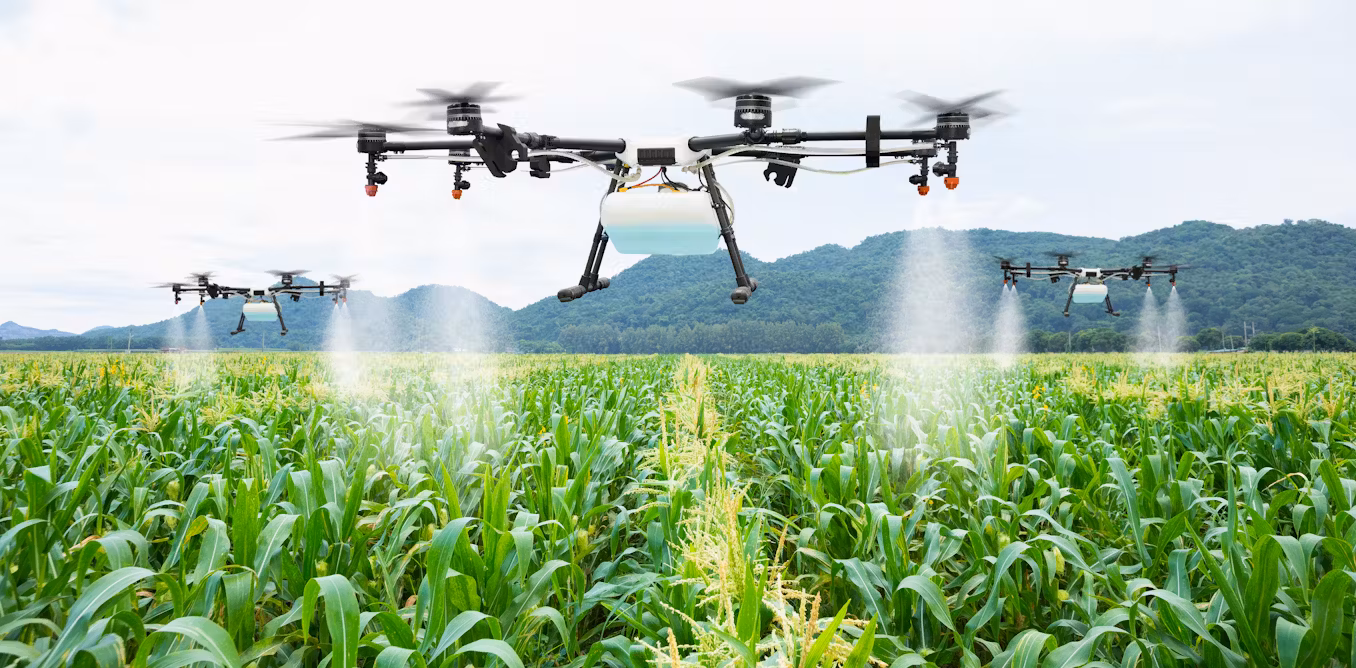 China integrates AI computing into smart farming for next-gen innovation