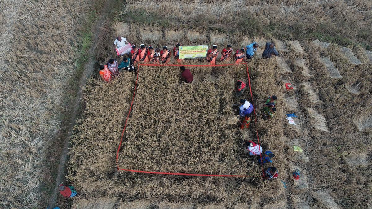 Ahead of India visit, Bill Gates lauds Odisha farmers for using AI. Here’s their story