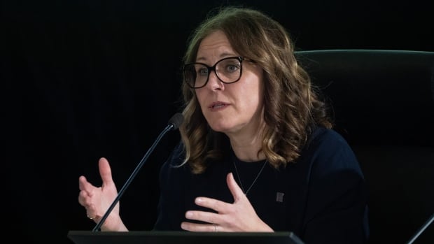 Elections watchdog warned AI presents 'high' risk in current campaign: internal documents
