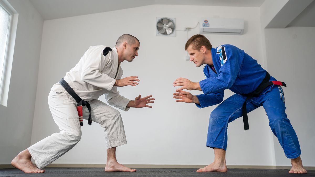 I’ve taught jiu-jitsu for over 5 years, and I’ve only just started using AI to come up with lesson plans – I don’t know why I didn’t think of this sooner!