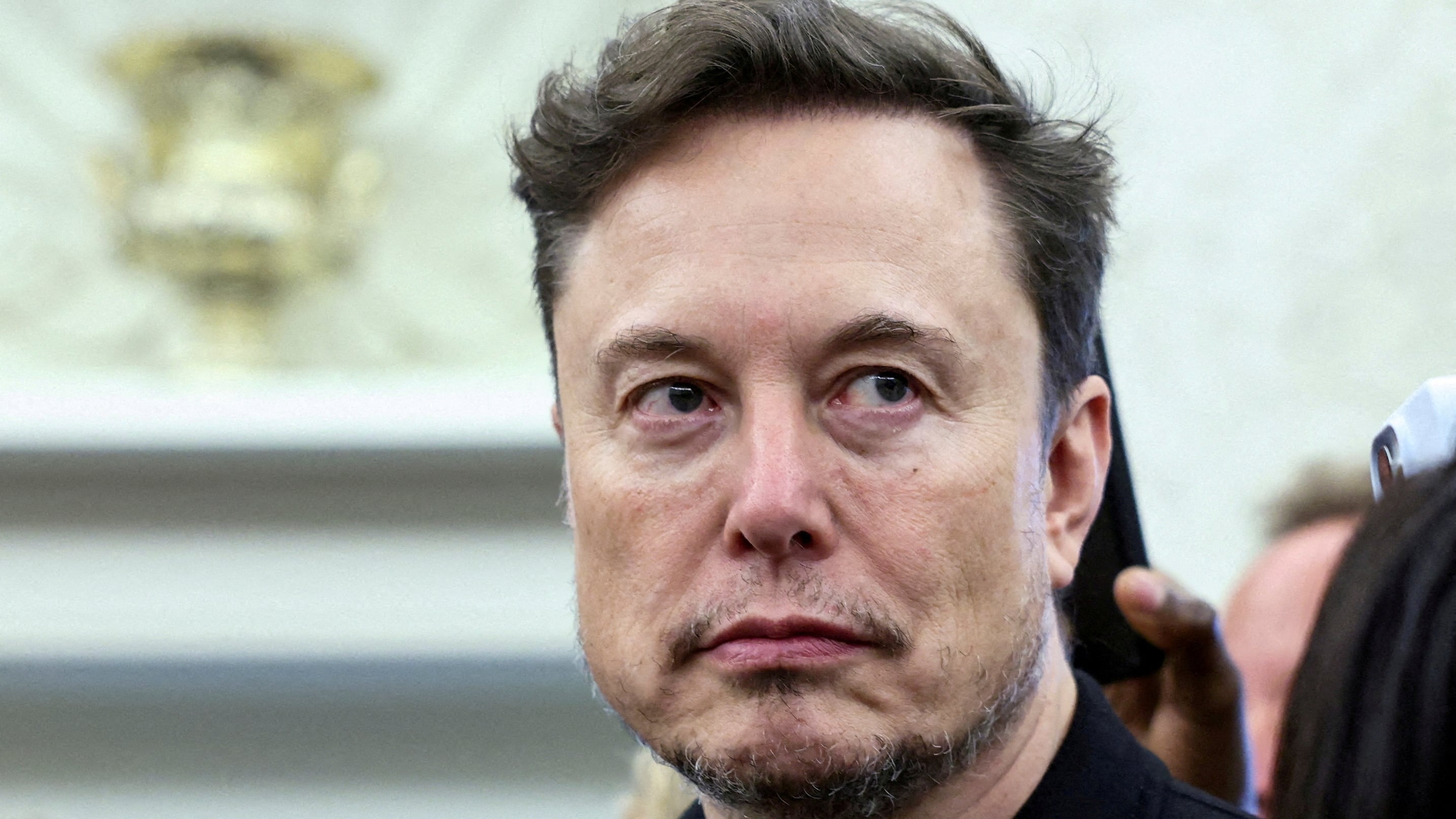Musk Rages at His Own AI for Its Take on Right-Wing Violence